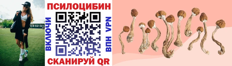 Псилоцибиновые грибы прущие грибы  Боровск 